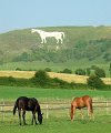 Three Horses